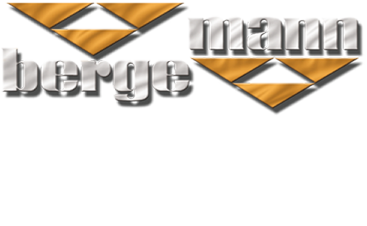 Bergemann Logo